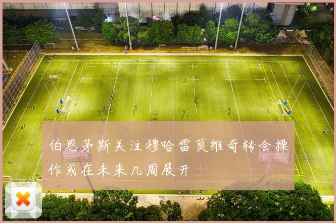 伯恩茅斯关注穆哈雷莫维奇转会操作或在未来几周展开