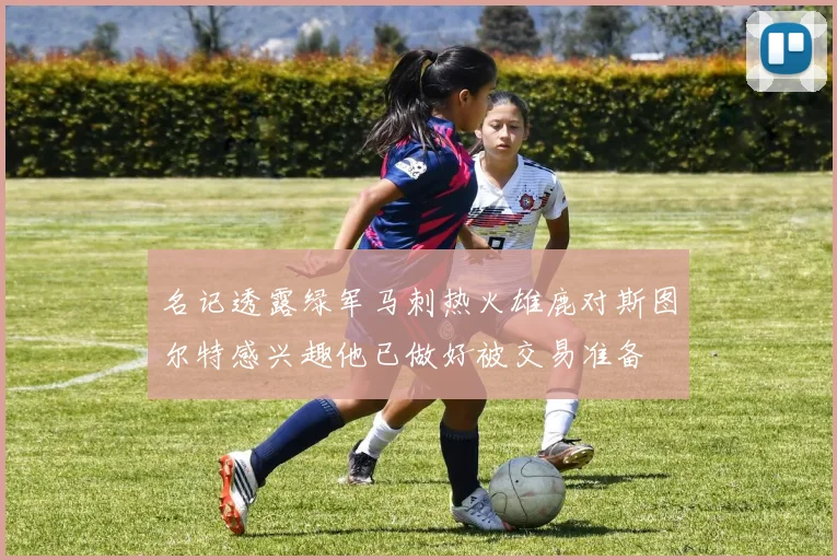 名记透露绿军马刺热火雄鹿对斯图尔特感兴趣他已做好被交易准备