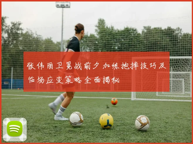 张伟丽卫冕战前夕加练抱摔技巧及临场应变策略全面揭秘
